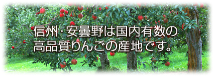 信州・安曇野は国内有数の高品質りんごの産地です。